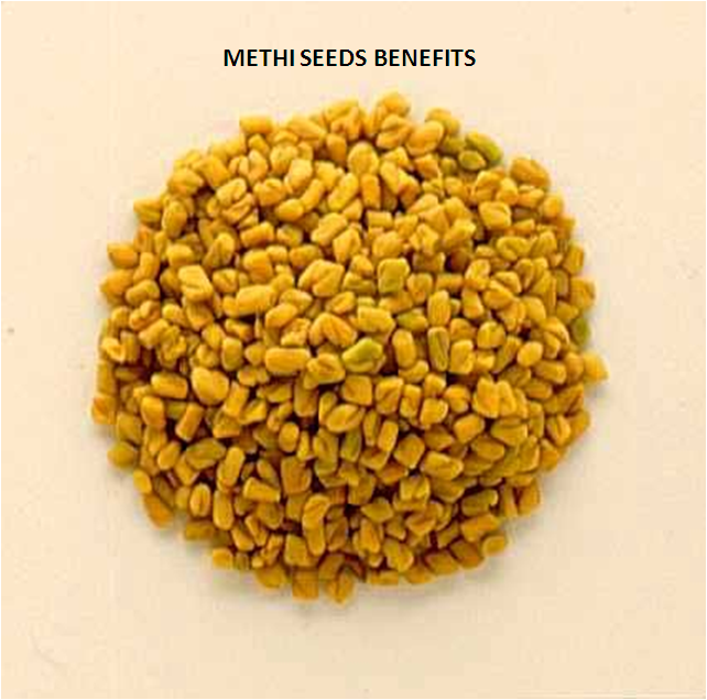 Household herb Methi Seeds Benefits is used world wide as medicine .Methi has strong smell and taste is quite bitter. Methi Seeds Benefits are used as a herb every where